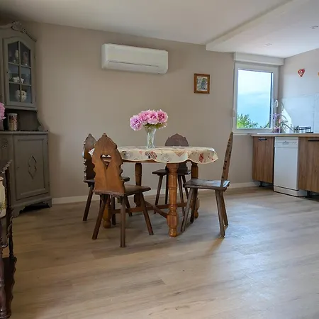 La Charmante Remise D'alsace - Chez Mamama Et Papapa Apartamento *