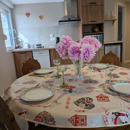 La Charmante Remise D'alsace - Chez Mamama Et Papapa Appartement
