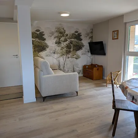 Apartamento La Charmante Remise D'alsace - Chez Mamama Et Papapa